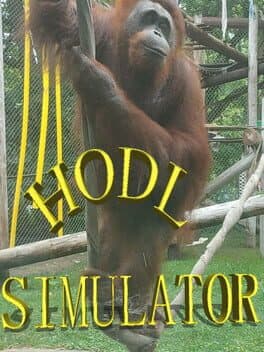 Hodl Simulator