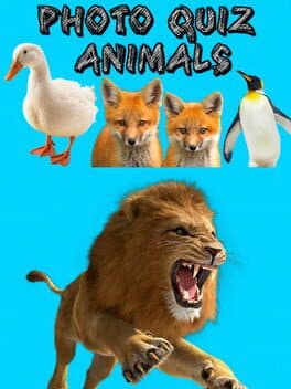 Photo Quiz: Animals